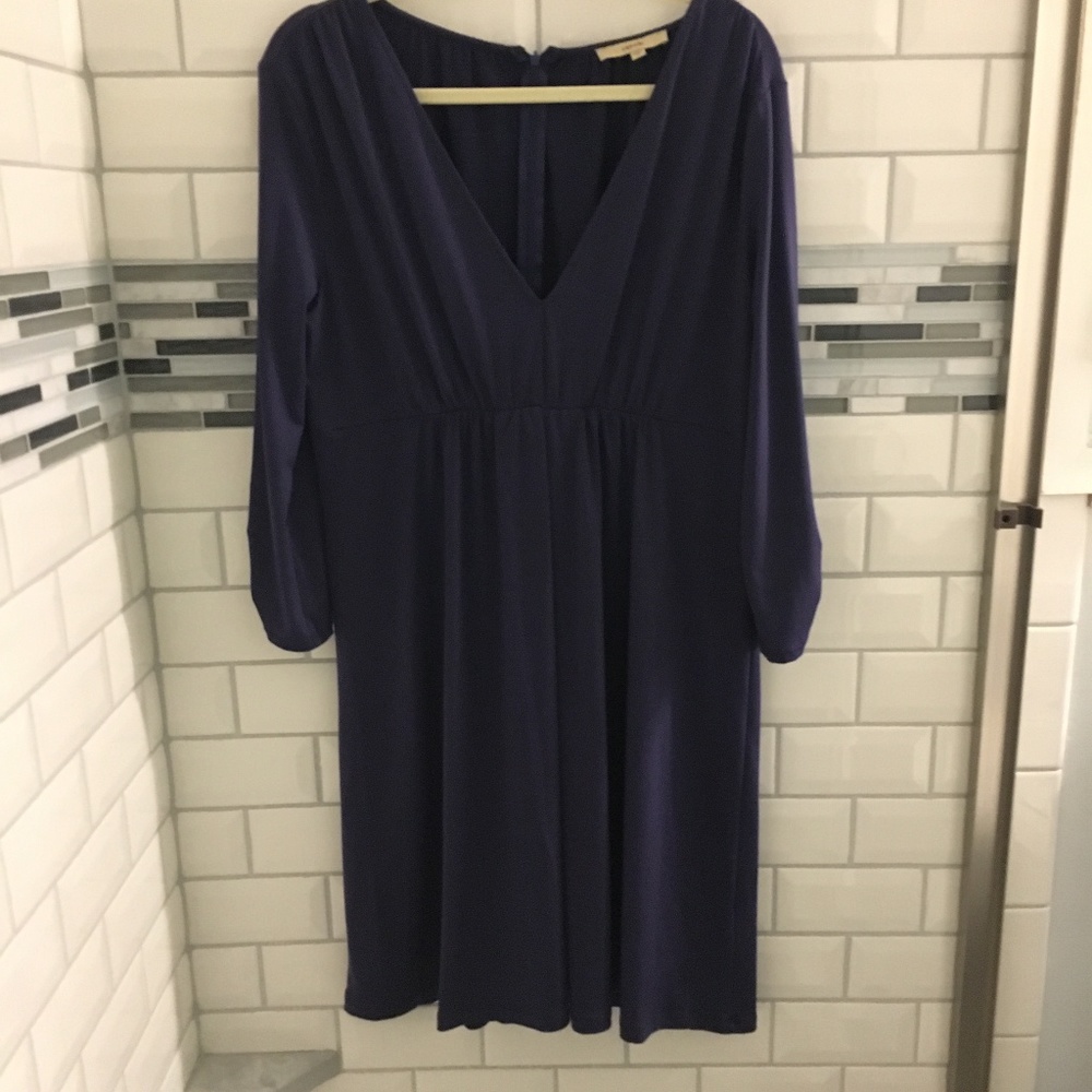 Lark & Ro V neck dress